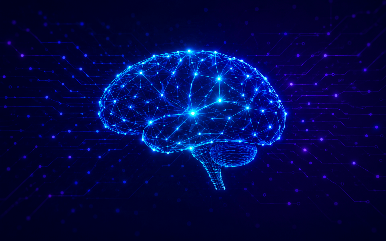 Difference between S2B AI Assistant Pro and S4B AI Inspector